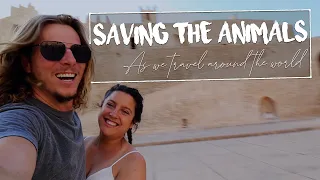 Living with Animals on a Yacht in Tunisia | Sailing Sunday Ep. 115
