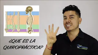 que es la quiropr ctica centro quiropr ctico lefranm
