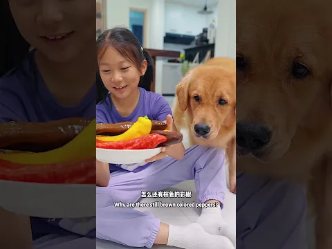 Scramble for it even if it’s not tasty.😂不好吃，也要抢着吃 #dog #pets #goldenretriever