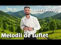 ALEX RADU - Melodii de suflet si de viata ( COLAJ MUZICA DE PETRECERE 2025 )