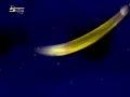 Download Lagu Spacetoon Off Air Planet (2005)