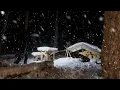 Download Lagu I got Lost in the Woods at Night and Found a SECRET PLACE to Sleep