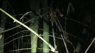 Setan itu begitu dekat