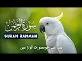 Surah Ar-Rahman Full | Sohail Al Shuraim | Beautiful HD Quran Recitation سُوْرَةُ الرَّحْمٰن كاملة