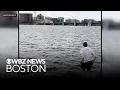 Caught on Boston man jumps into freezing Charles River to rescue dog