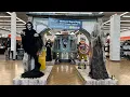 Download Lagu Spirit Halloween 2025| Store Walkthrough #2 