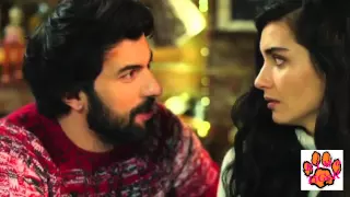                                          محمد فؤاد   غصب عنى  عمر   ايليف دندنها