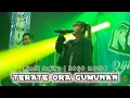 Download Lagu TERATE ORA GUMUNAN - Rindi Safira | Cover ROGO MUSIC