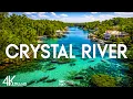 Top 10 Best Things to do in Crystal Rivers Florida Crystal Rivers Travel Guide 2026