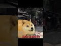 Download Lagu quái vật bánh mì 😱 cre: meta_anisloxg7 #memes #clipvui #funny #memeclip #xuhuong