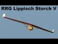 Download Lagu RRG Lippisch Storch V | scale RC flying wing | 2021