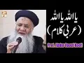 Download Lagu Ya Allah Ya Allah (Arabic) By Rauf Roofi