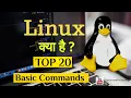 Top 20 Linux basic commands for beginners Linux Tutorial For Beginners In Hindi