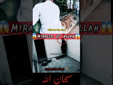 Download MP3 Miracle of Allah👆الله أكبرﷻ|#youtubeshorts#viral#shortvideo#foryou#viralvideo#shorts#islam#allah|