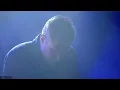 TOR - Foxglove // Live 2023 // A38 Vibes