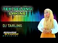 Download Lagu TAK SELANG LAKINE - AYI NIRMALA // DJ TARLING REMIX