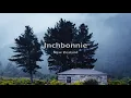 10hrs of RAIN in New Zealand Countryside, Gentle Rain Sounds to Sleep, Relax, Study | Binaural Rain