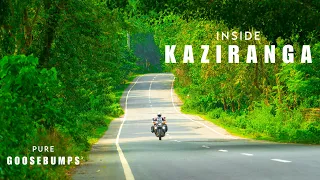 This Jungle Road Will Give You Goosebumps | Kaziranga National Park | Ep- 15 Zubeen Khetra -Guwahati
