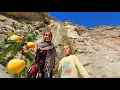 Download Lagu 🍎⛰️ Wild Suzo Mountain Apple Picking with Zainab \u0026 Her Sister 👭✨