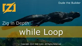 Zig in Depth while Loop