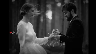 هاي أول مرة بعمري أشوف إنسان عيونه أمان وياخدني بعيد حمزة المحمداوي 2024 أول مرة 