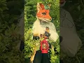 Download Lagu Foxlore cosplay - Curses  #art #thecranewives #cosplay #fursuit