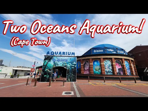 Download MP3 S1 – Ep 446 – Two Oceans Aquarium Cape Town!