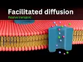 Facilitated diffusion Explained Bio Scholar