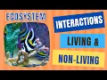 Interactions Between Living and Non-Living Things Abiotic Biotic Factors