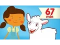 Download Lagu Mary Had A Little Lamb + More | Kids Songs | Super Simple Nursery Rhymes