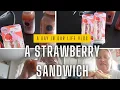 Download Lagu Een aardbeiensandwich