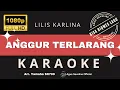 KARAOKE DANGDUT ANGGUR TERLARANG | NO VOCAL | MEGGY Z