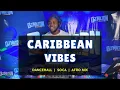Caribbean Vibes Mix Dancehall Afrobeat Soca Mix - Dj Milton