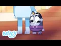 Lagu Bluey's Child 🍼 | Season 4 Special