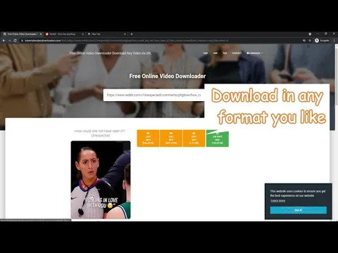 Download MP3 Reddit Video Downloader with Sound | Best Site to Download Reddit Video BY URL