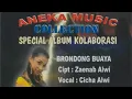 Download Lagu Brondong Buaya
