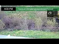 Live Camera Axis P5655-E
