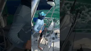 The sailboat lifestyle #shorts #sailingbyefelicia