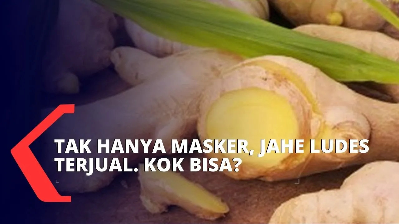 Kampung Herbal Sediakan Empon-Empon Penangkal Virus Corona. 