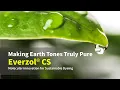 Making Earth Tones Truly Pure from Molecular Level Everzol CS Reactive Dyes for Cotton