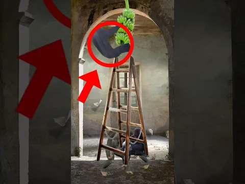 Los MONOS y El AGUA FRÍA