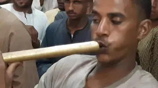 الشيخ سيد شمندى ٠٠٠٠ المولد السنوى للشيخ حماده التونى بإسنا دندنها