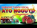 KARAOKE AYO NGGUYU - SRAGENAN (AUDIO HD)