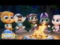 Download Lagu Lost in the Woods?! 🪵 Talking Tom Shorts | Cartoons For Kids