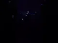 Totally Enormous Extinct Dinosaurs - Crosswalk - LIVE