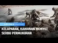 Download Lagu Kelaparan, Kawanan Monyet Serbu Permukiman | Liputan 6 Semarang