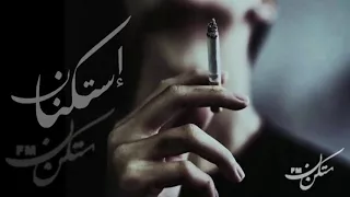 أغاني استكنان   زي العسل الكل يبحث عنها      دندنها