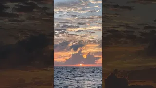 The Sun and Sea