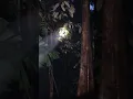 Download Lagu Suara yg di takuti ketika di hutan kalimantan,📍#suarahutan #kalimantan #hutankalimantan #kalbar