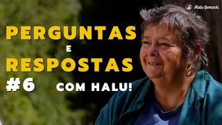 Energia Telúrica, Elementais das SOMBRAS e Obsessores, Almas Afins e Lembranças Perispirituais